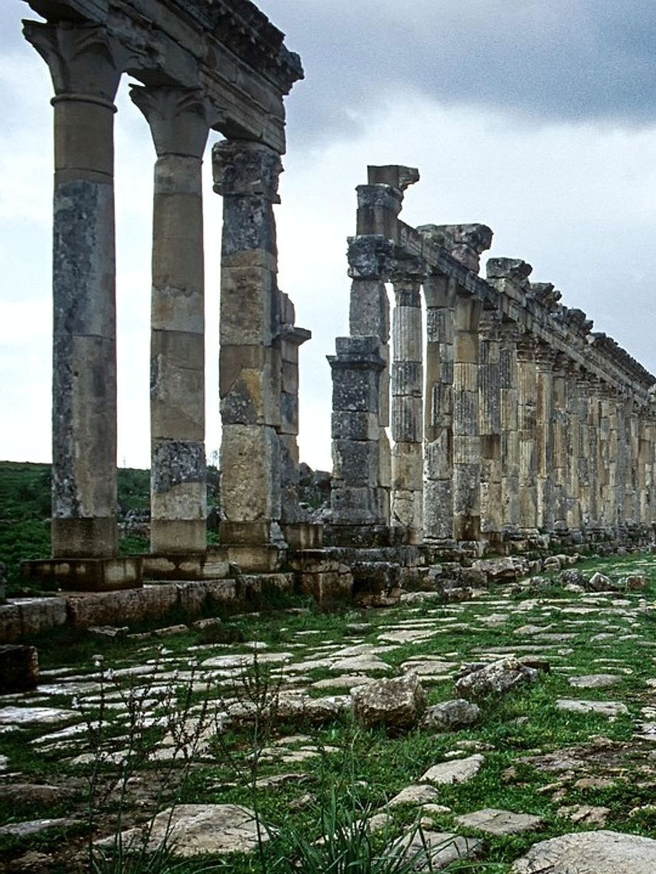 Uzun bir araştırma yolculuğundan sonra bir mytholog portresi